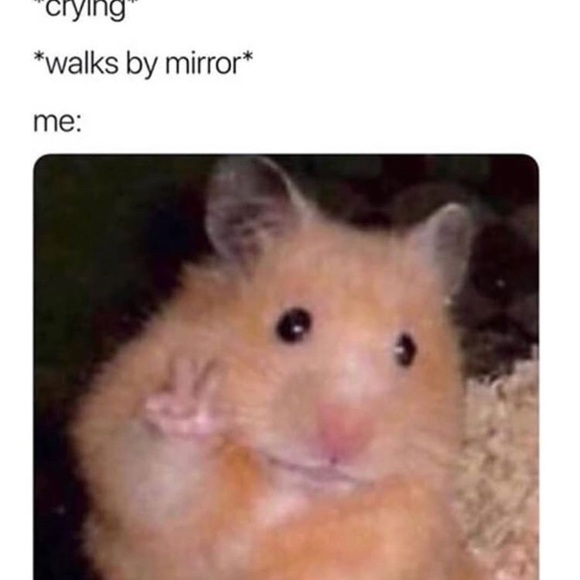 Meet your Posher, Eunice - Picture 1 of 1